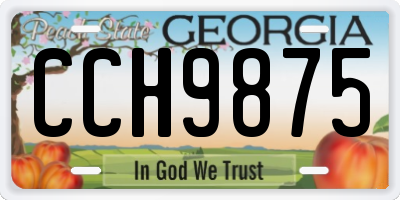 GA license plate CCH9875