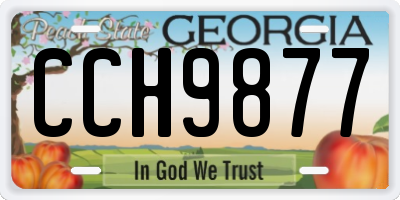 GA license plate CCH9877