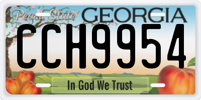 GA license plate CCH9954