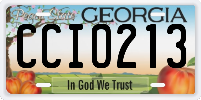 GA license plate CCI0213