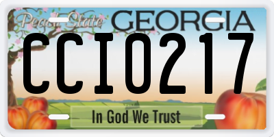GA license plate CCI0217
