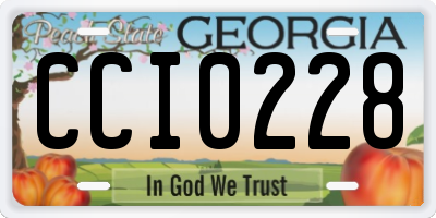 GA license plate CCI0228