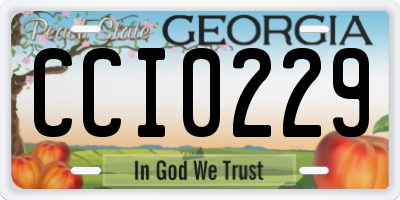 GA license plate CCI0229
