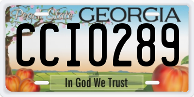 GA license plate CCI0289