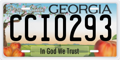 GA license plate CCI0293