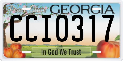 GA license plate CCI0317