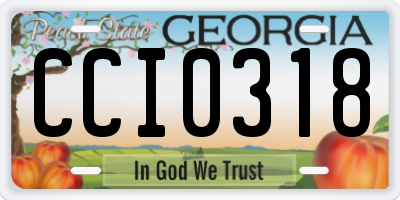 GA license plate CCI0318