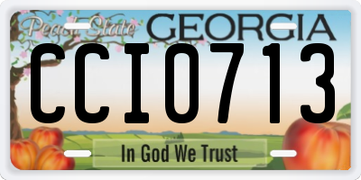 GA license plate CCI0713