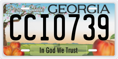 GA license plate CCI0739
