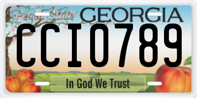 GA license plate CCI0789