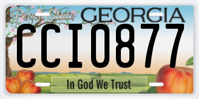 GA license plate CCI0877