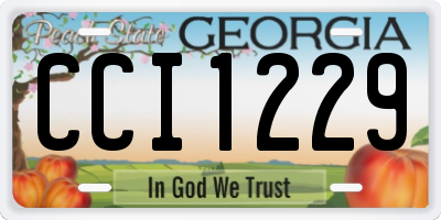 GA license plate CCI1229