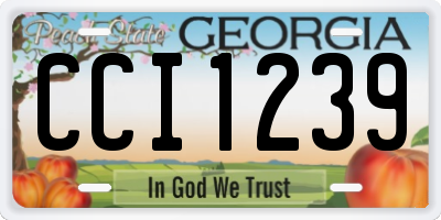 GA license plate CCI1239