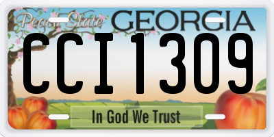 GA license plate CCI1309