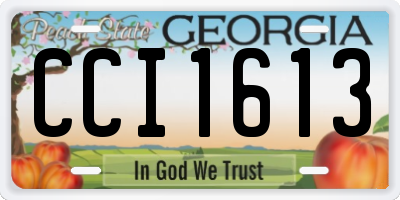GA license plate CCI1613