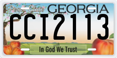GA license plate CCI2113