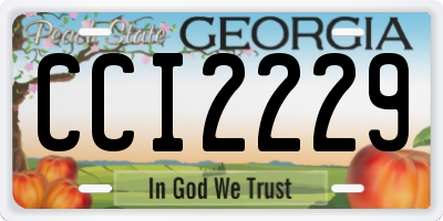 GA license plate CCI2229