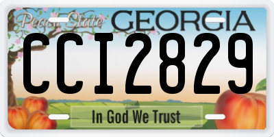 GA license plate CCI2829