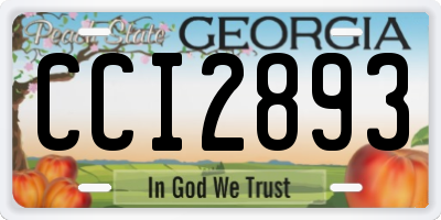 GA license plate CCI2893