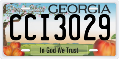 GA license plate CCI3029