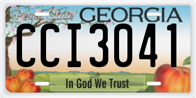 GA license plate CCI3041