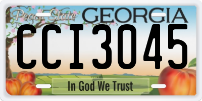 GA license plate CCI3045