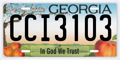 GA license plate CCI3103