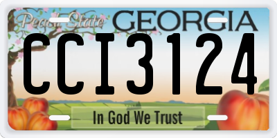 GA license plate CCI3124