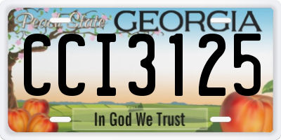 GA license plate CCI3125