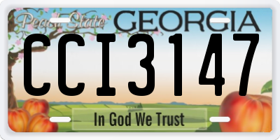 GA license plate CCI3147