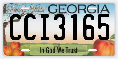 GA license plate CCI3165