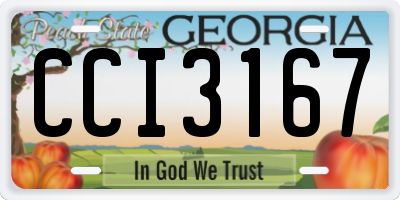 GA license plate CCI3167