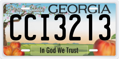 GA license plate CCI3213
