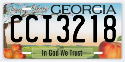 GA license plate CCI3218