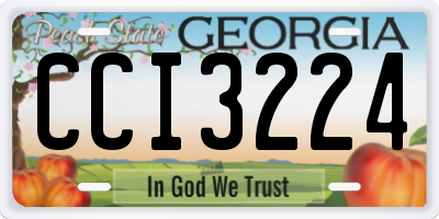 GA license plate CCI3224