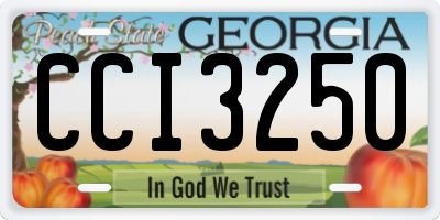 GA license plate CCI3250