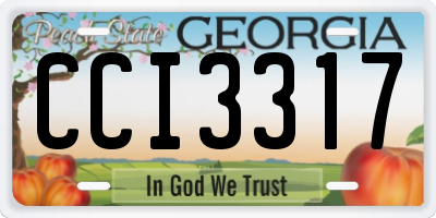 GA license plate CCI3317