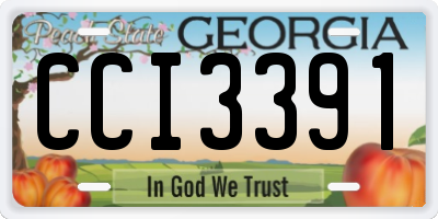GA license plate CCI3391