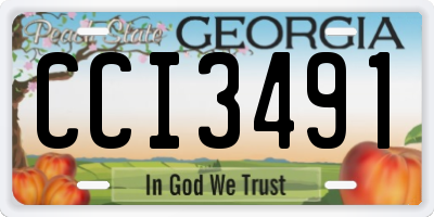 GA license plate CCI3491