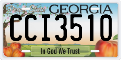 GA license plate CCI3510