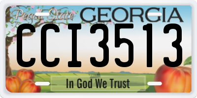 GA license plate CCI3513