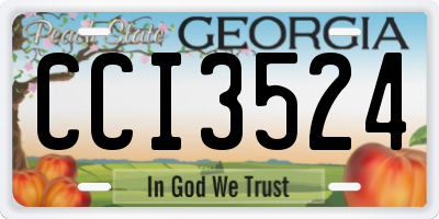 GA license plate CCI3524