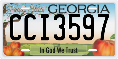 GA license plate CCI3597