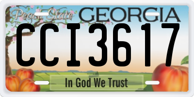 GA license plate CCI3617