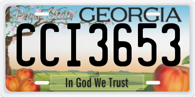 GA license plate CCI3653