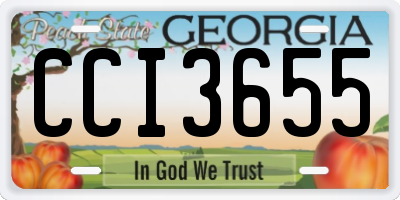 GA license plate CCI3655