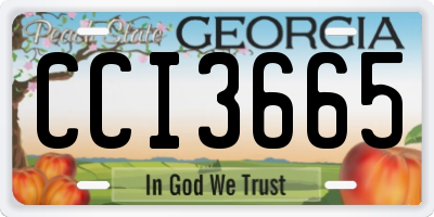 GA license plate CCI3665
