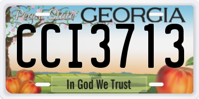 GA license plate CCI3713