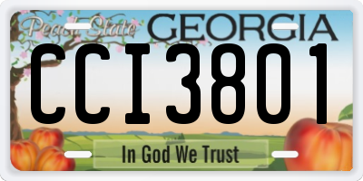 GA license plate CCI3801