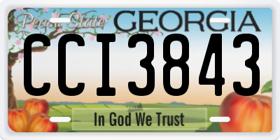 GA license plate CCI3843